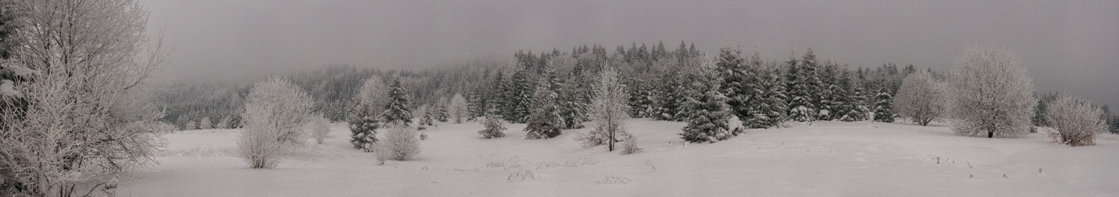 LIKA2 PANORAMA